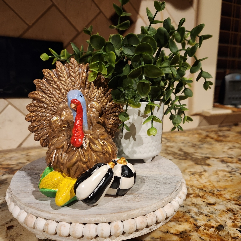 Hand painted Turkey with checkered pumpkins